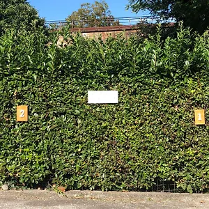  Appartamento Casa Nonna Elide Italia