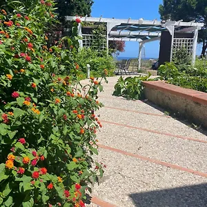 Sophia Isola di Ustica